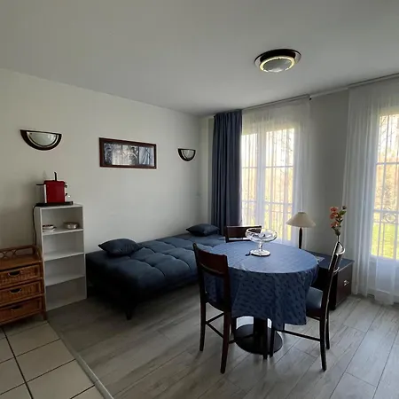 公寓 T2 Avec Piscine Commune Et Wifi A 200m Des Thermes - Fr-1-541-175