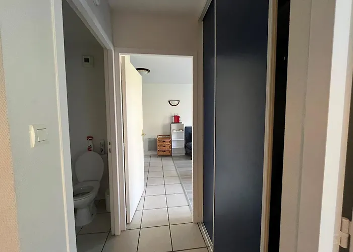 T2 Avec Piscine Commune Et Wifi A 200m Des Thermes - Fr-1-541-175 Apartment *